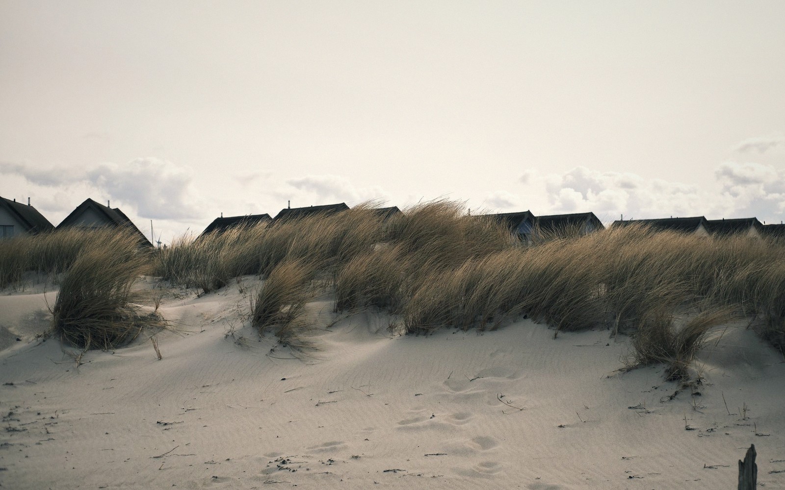 The Falsterbo Peninsula