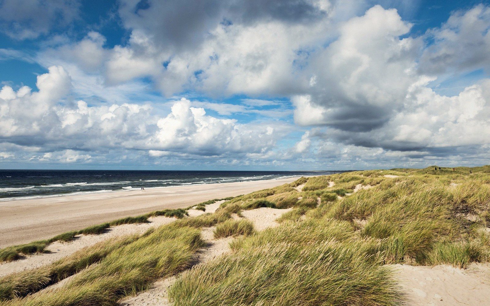 Sandhammaren and the Long Sand