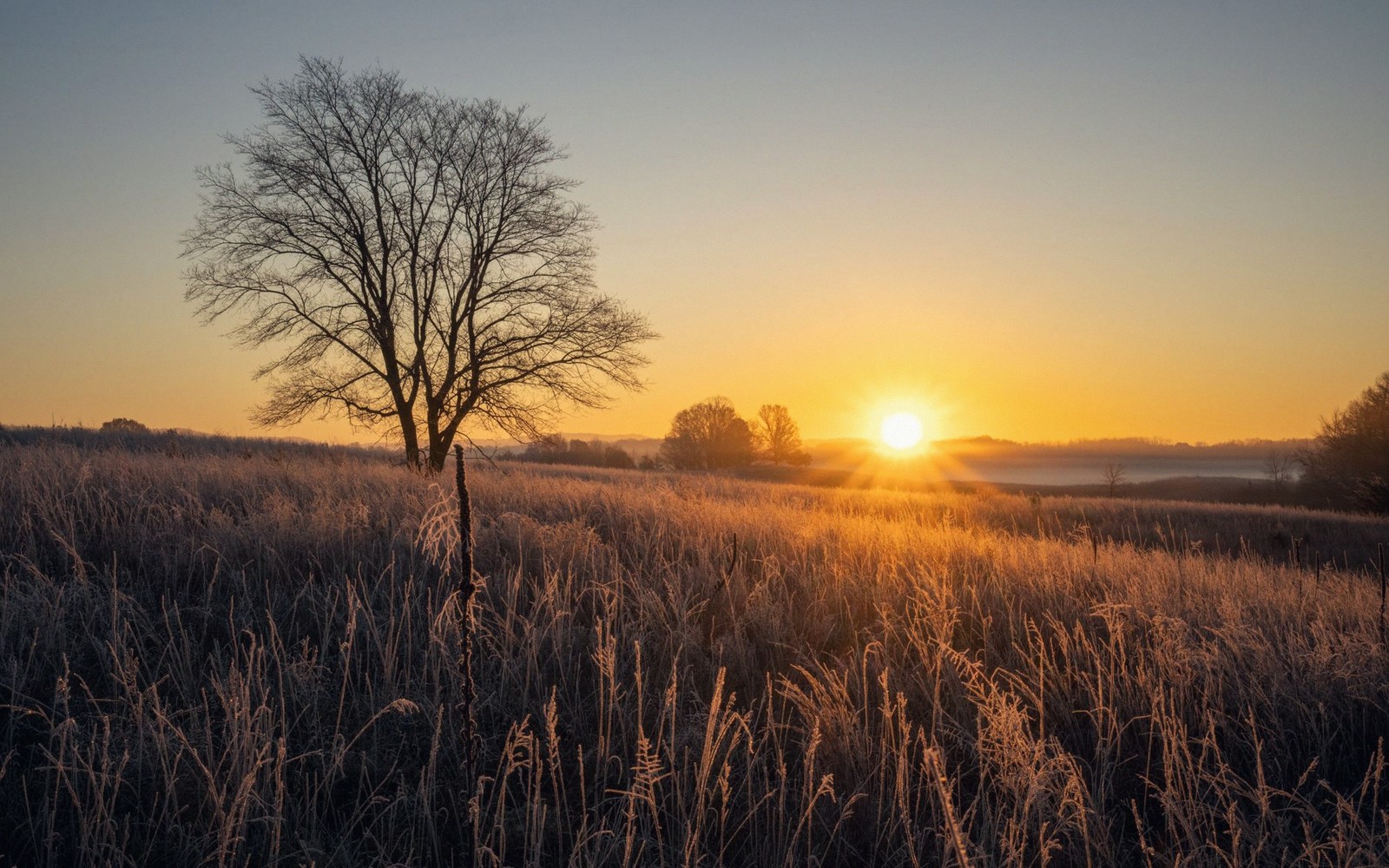 Winter Light on a Flat Province